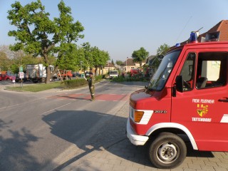 Verkehrsabsicherung-Baumschnitt